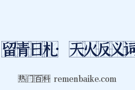 留青日札·天火反义词是什么意思的图片